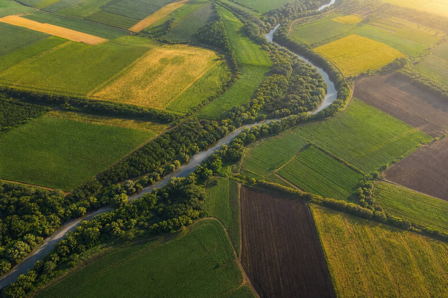 Sustainable farmland